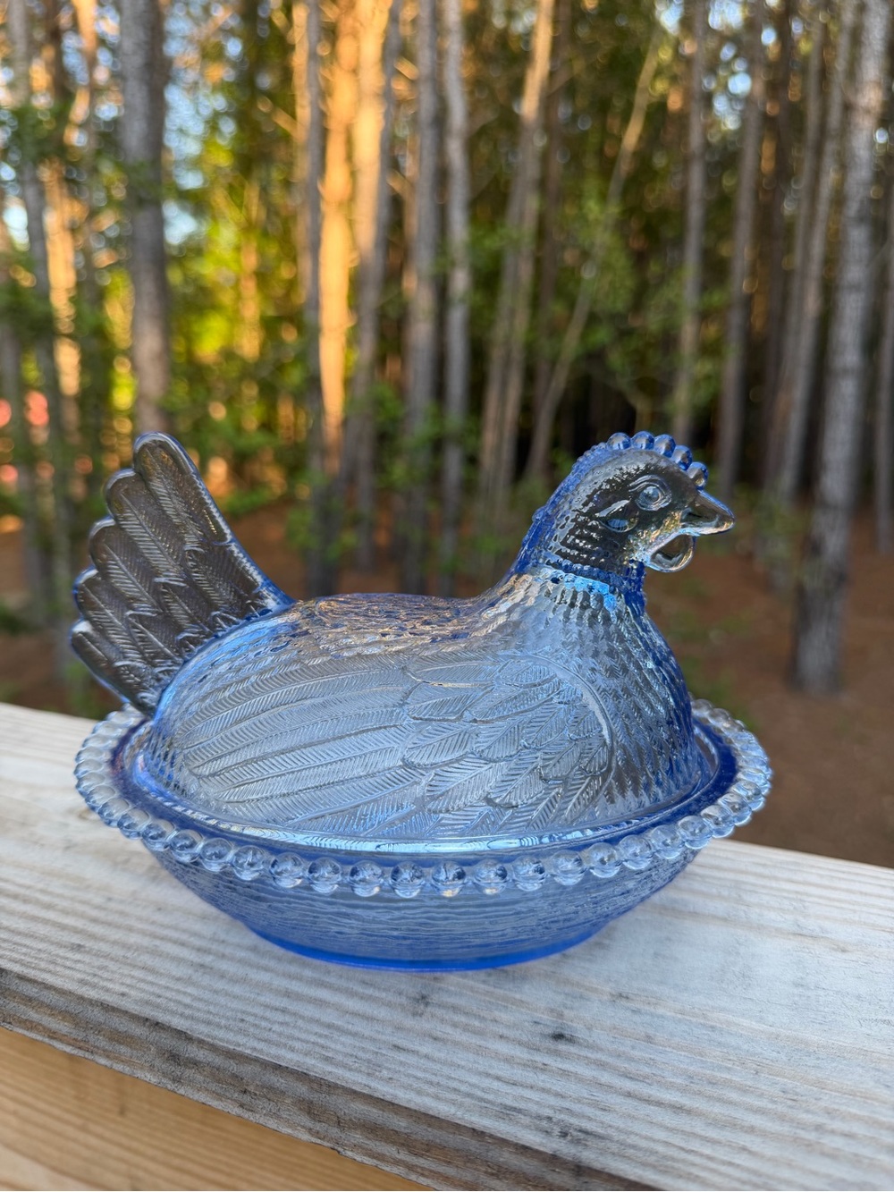 HON-Blue Indiana Glass Hen on Nest Decorative Dish 7”
